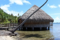 IMG_3112-e1462930033244