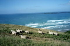 IMG_20100101_011546