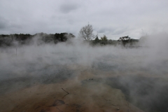 IMG_2739