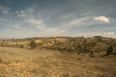 SJCM0596